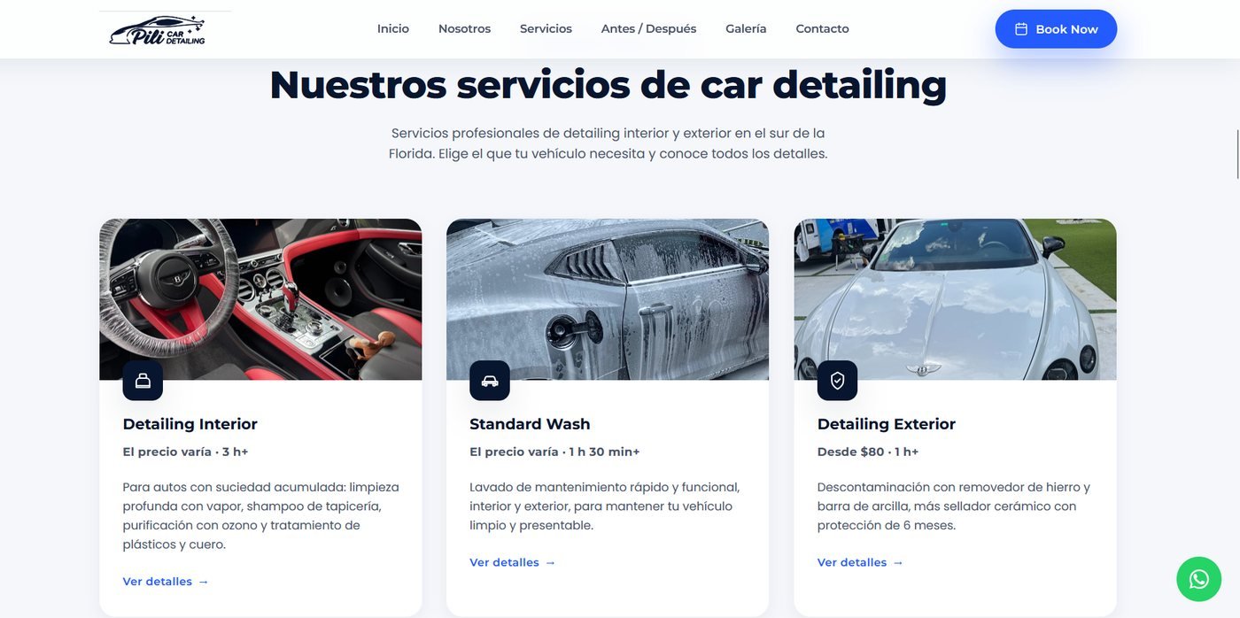 Pili Car Detailing - detalle